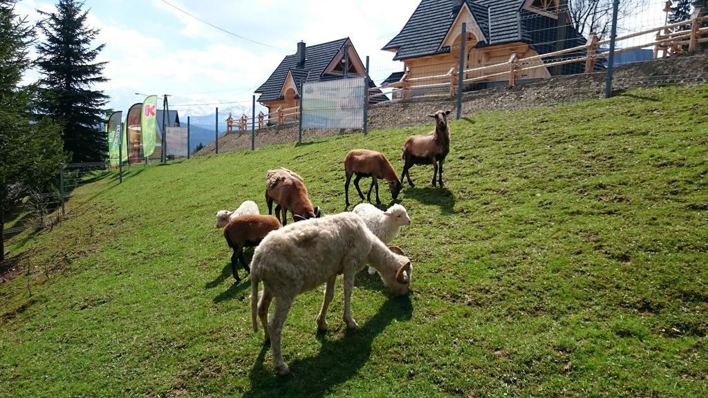 Willa Skorusyna Bed & Breakfast Gliczarów Екстериор снимка